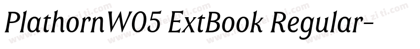PlathornW05 ExtBook Regular字体转换